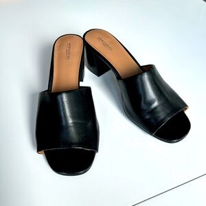Aerosoles Entree Slides